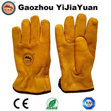 Guantes de cuero de vaca de oro de grano guantes de invierno caliente con forro de Thinsulate